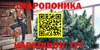 тгк Пенза