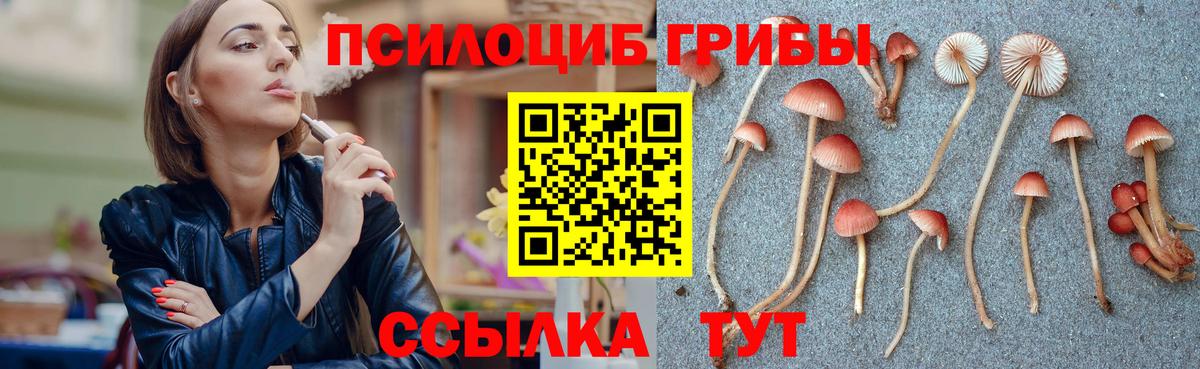 Псилоцибиновые грибы Cubensis  Галлюциногенные грибы мухоморы  Вход с VPN  Волоколамск 